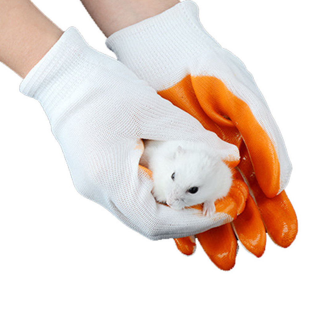 1Pair Animals Handling Anti-Bi - Cut Resistant Glove review and price